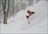 Aomori Freeride Tour