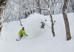 Myoko Explorer Tour