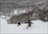Otaru Snowsports Lessons