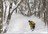 Aomori to Iwate Backcountry