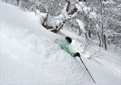 Iwate Explorer
