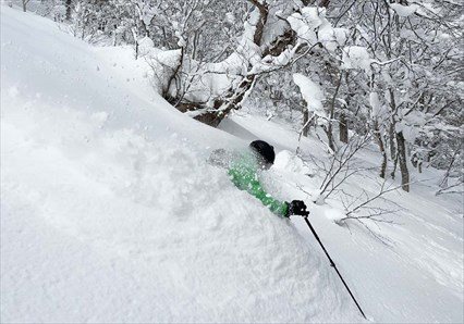 Iwate Explorer