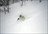 Iwate Explorer