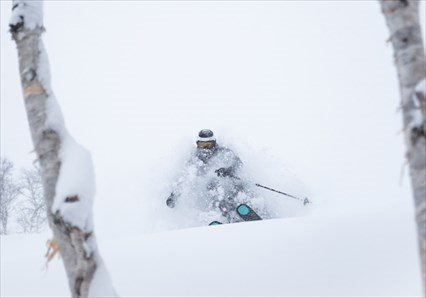 Honshu Powder Trip