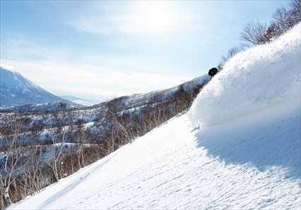 Summit Ski Niseko Day Guiding